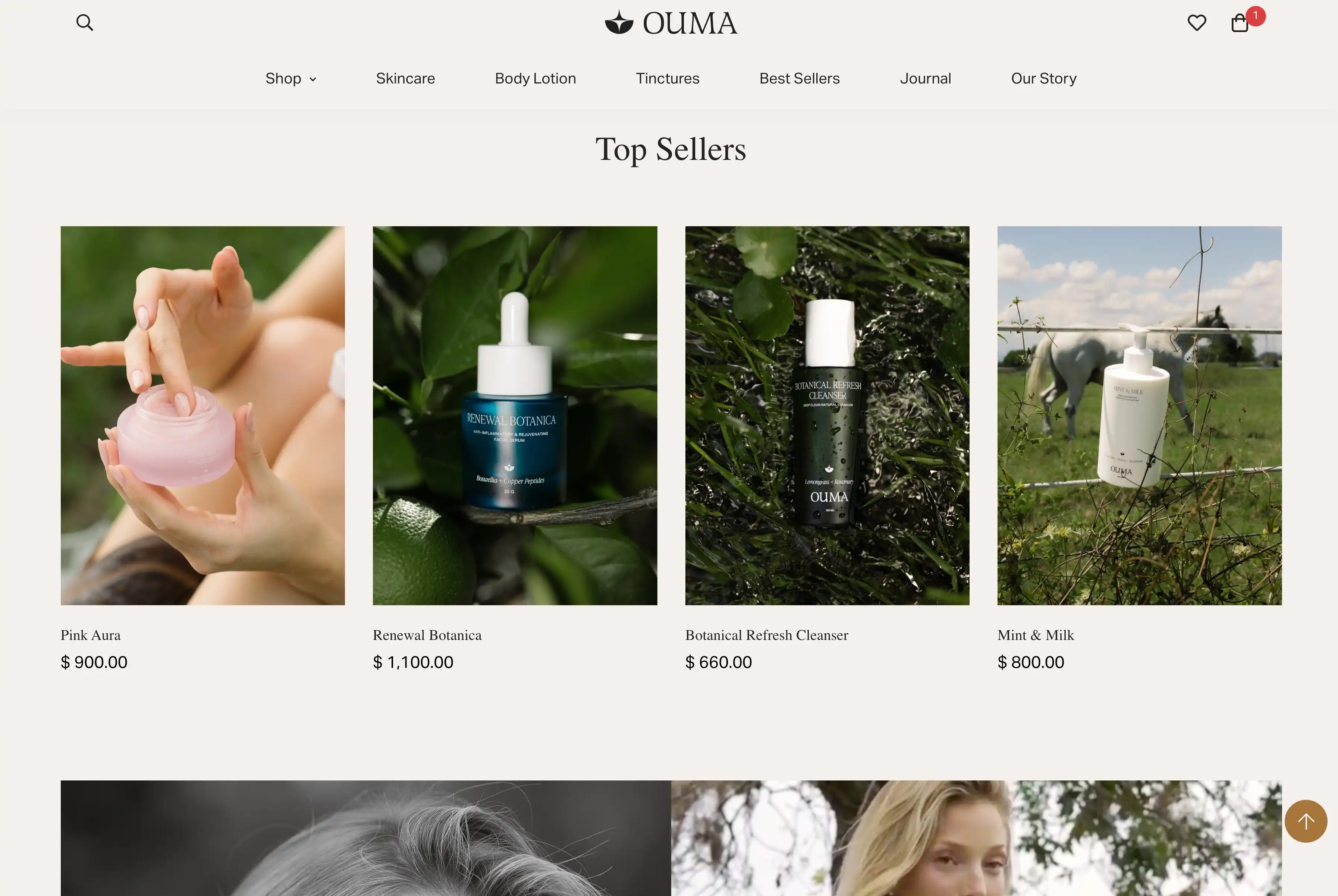 Ouma Wellness Desktop